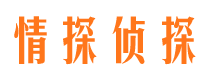 岳麓市婚外情调查